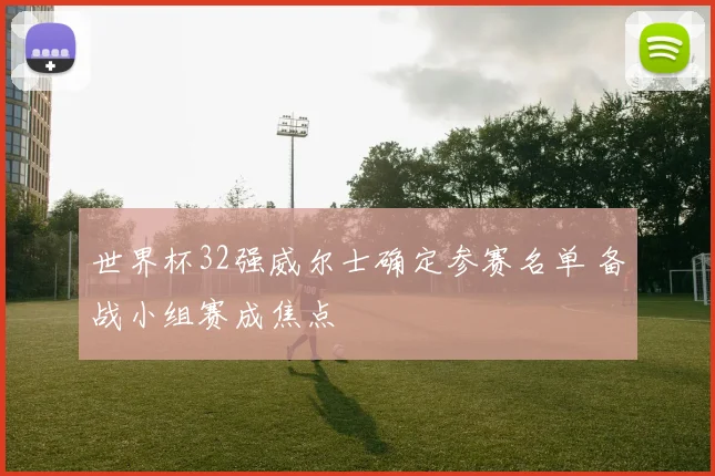 世界杯32强威尔士确定参赛名单 备战小组赛成焦点